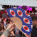 Folding Hand Fan 23cm  –All Seeing Eyes – Fantastico Fans