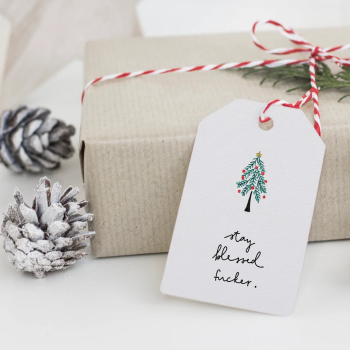 Funny Christmas Gift Tags – Pack of 5 – Greta Jane Paper Co