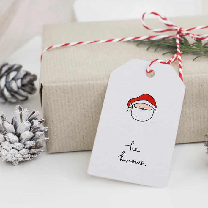 Funny Christmas Gift Tags – Pack of 5 – Greta Jane Paper Co