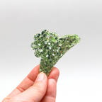 Resin Hair Claw – Metal Clip – L’Atelier Nounille