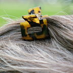 Mini Hair Claw Square - Little Moi Co