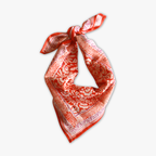 Iris Clementine - Small Square Cotton Bandana Block Print Scarf  – Bonheur du Jour