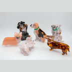 Yorkshire Hair Claw – Coucou Suzette (Dogs Collection)