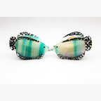 Tropical Fish Hair Claw – Coucou Suzette (Sea Collection)